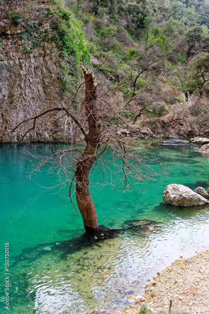 Fotografie Source de la Sorgue Fontaine-de-Vaucluse