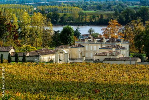 Fronsac Vineyard landscape, Vineyard south west of France