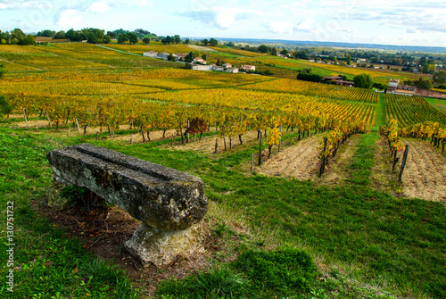 Fronsac Vineyard landscape, Vineyard south west of France photo