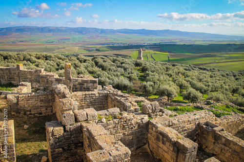 Dougga Medina overlooking an Olive plantation, Tunisia photo