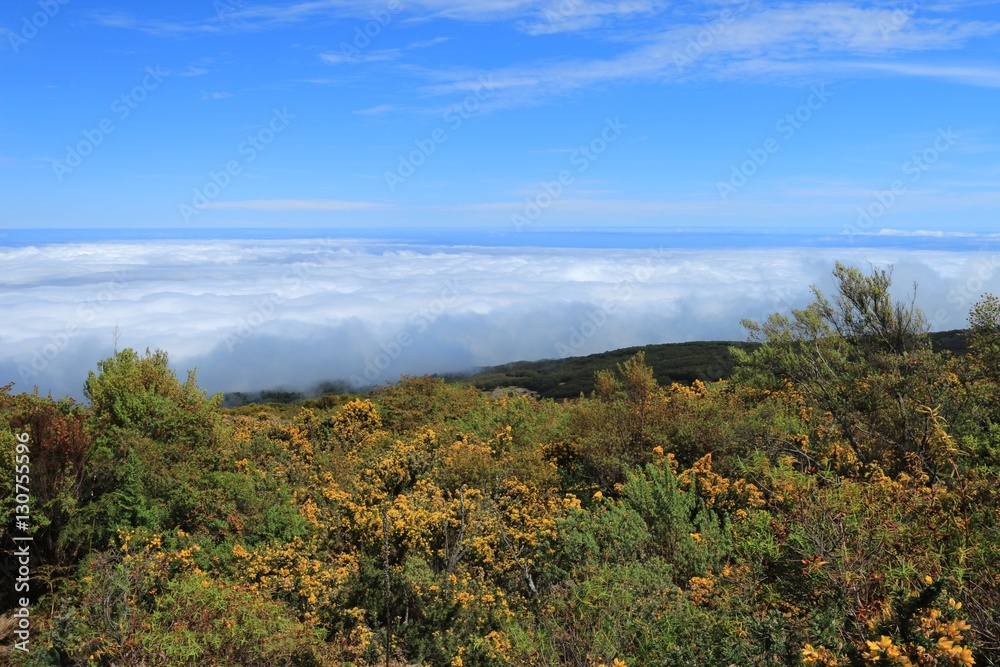 VIEW SINCE THE PITON MAIDO , MAFATE CIRCUS , IN REUNION ISLAND , FRANCE , OCTOBER 2016
VIEW SINCE THE PITON MAIDO , MAFATE CIRCUS , IN REUNION ISLAND , FRANCE , OCTOBER 2016