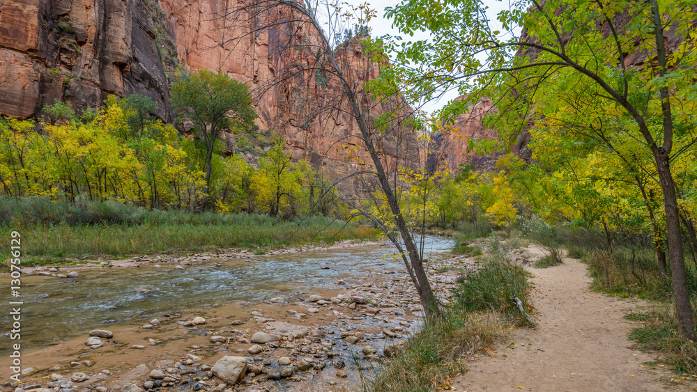 Cascades along the Virgin River on the Riverside Walk trail. Zion National Park, Utah, USA Cascades along the Virgin River on the Riverside Walk trail. Zion National Park, Utah, USA