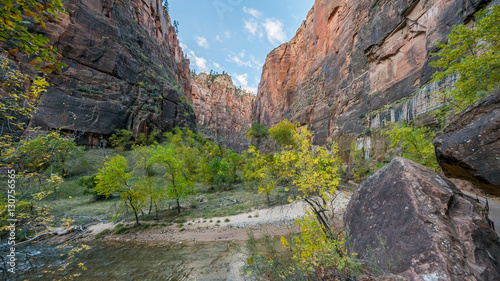 Riverside walk, beautiful hike along the Virgin River. Zion National Park, Utah, USA