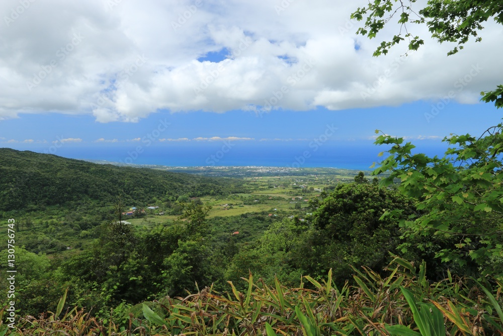 VIEW ON THE INDIAN OCEAN , PLAIN OF PALMISTE IN REUNION ISLAND , FRANCE , OCTOBER 2016
