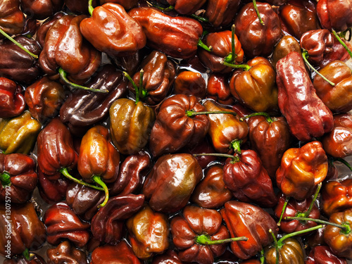 Chocolate Habanero