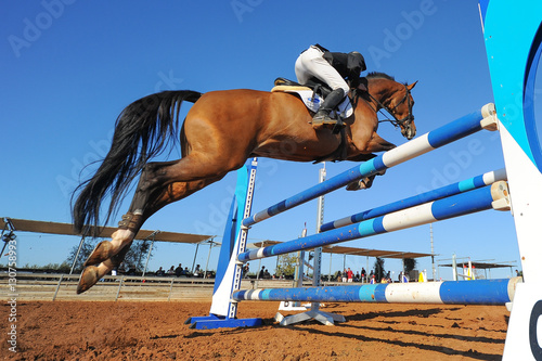 Rider on horse jumping over a hurdle during the equestrian event