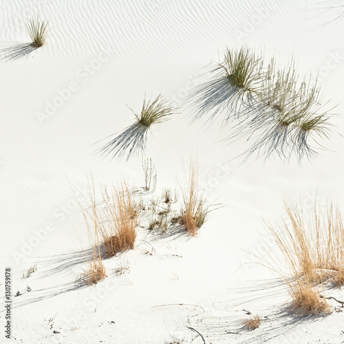 Fototapeta Naklejka Na Ścianę i Meble -  White Sand Dunes National Monument, New Mexico, USA
