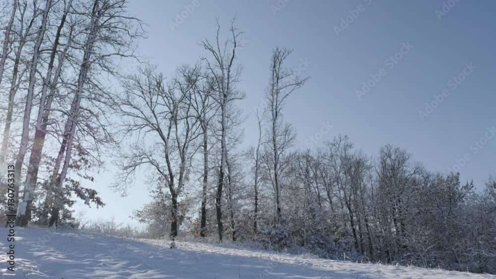 Forest path under snow slow tilt 4K 2160p 30fps UltraHD footage - Sun coming through tree branches on early morning 3840X2160 UHD tilting video Forest path under snow slow tilt 4K 2160p 30fps UltraHD footage - Sun coming through tree branches on early morning 3840X2160 UHD tilting video