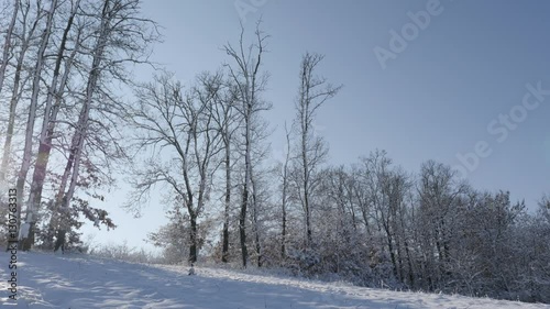 Wallpaper Mural Forest path under snow slow tilt 4K 2160p 30fps UltraHD footage - Sun coming through tree branches on early morning 3840X2160 UHD tilting video Torontodigital.ca