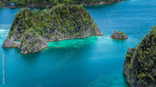 Painemo Island, Blue Lagoon, Raja Ampat, West Papua, Indonesia photo