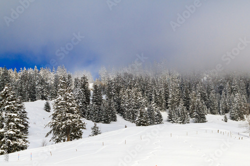 Winterlandschaft in der Schweiz, Villars-sur-ollon.   © elenaklippert