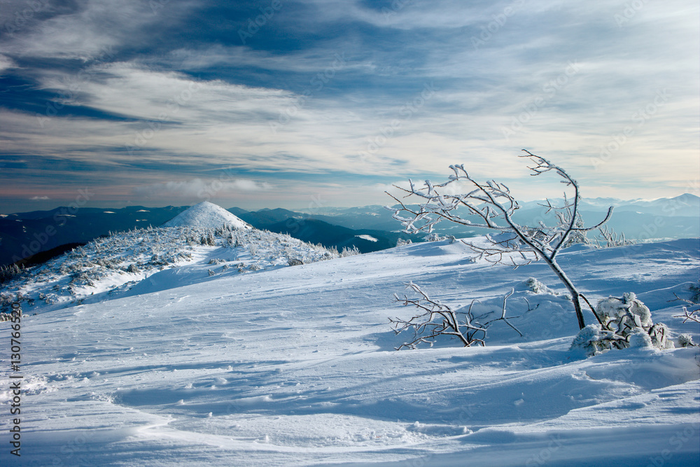 winter Carpathians
