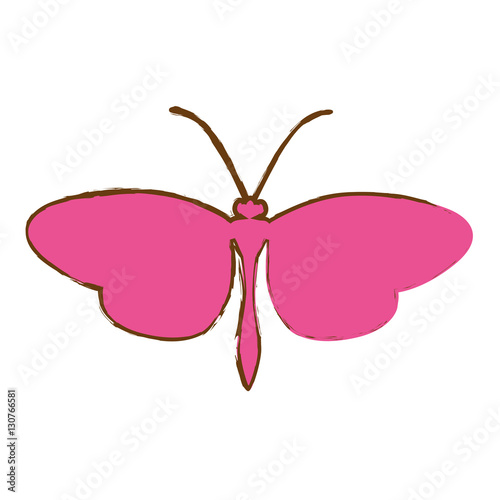 pink butterfly icon over white background. vector illustration