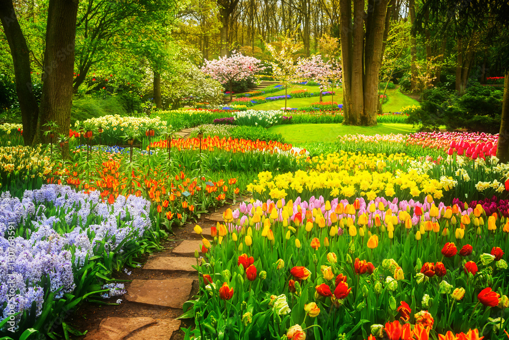 Obraz premium Kolorowi tulipanów Flowerbeds i Kamienna ścieżka w wiosna Formalnym ogródzie, retro stonowany