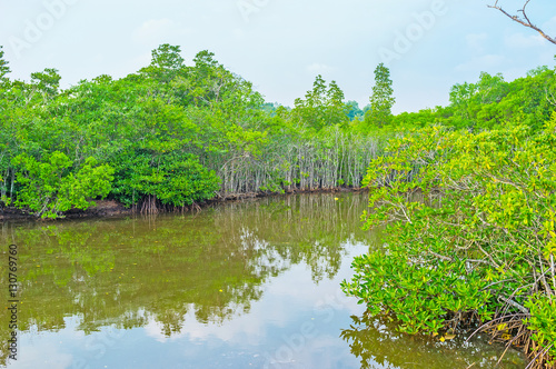 The calm waters of Madu river photo