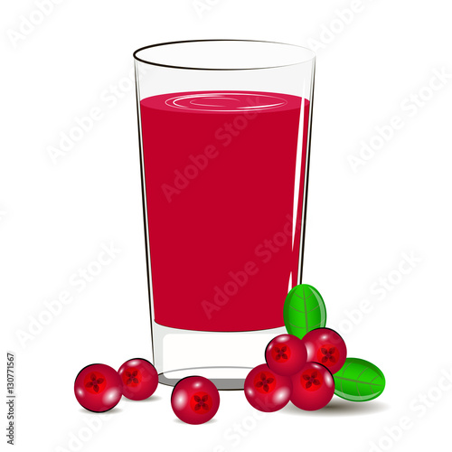 Vector illustration of glass with cranberry juice and cranberry berry.