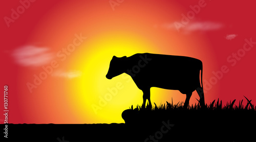 Vector silhouette of cow.