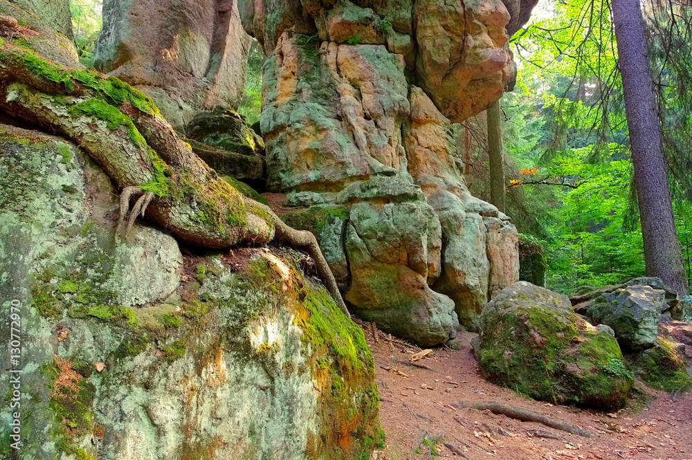 Felsen im Heuscheuergebirge in Schlesien - rocks in Stolowe Mountains in Silesia