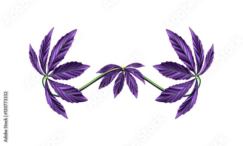cannabis, cannabis leaf,