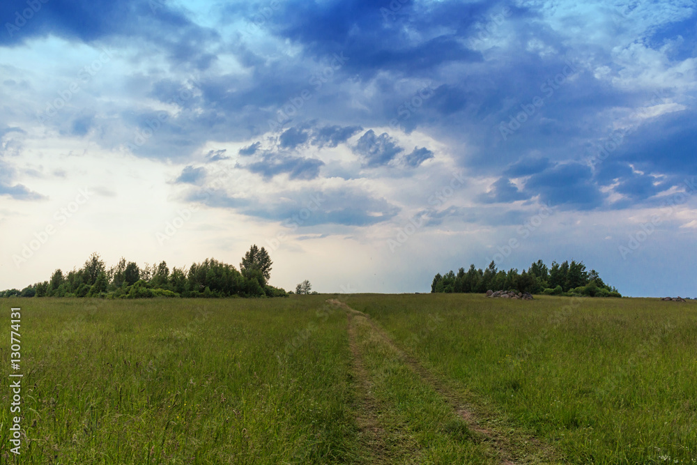rural landscape with group of trees rural landscape with group of trees