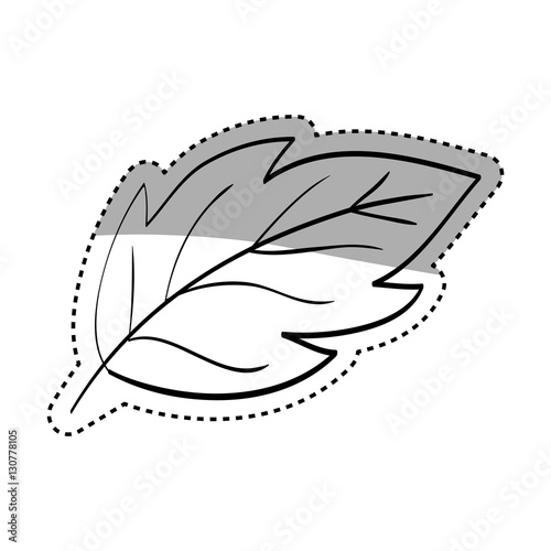 Beautiful leaf in black and white icon vector illustration graphic design