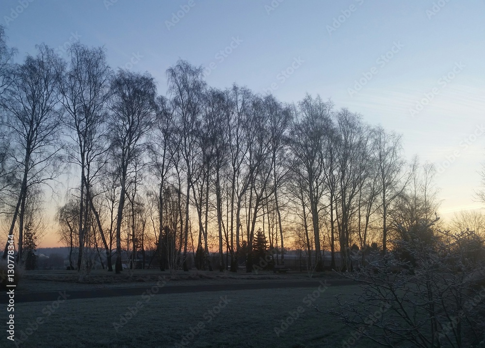 Frostiger Wintermorgen vor Sonnenaufgang Frostiger Wintermorgen vor Sonnenaufgang