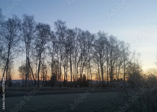 Frostiger Wintermorgen vor Sonnenaufgang
