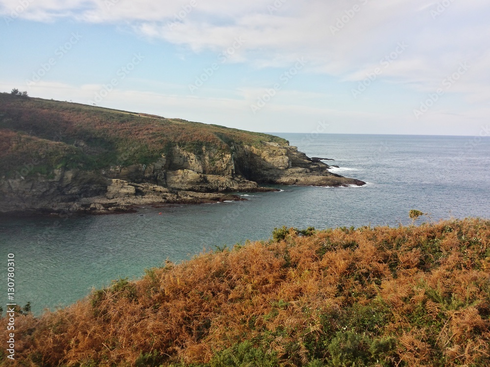 Fototapeta premium paisaje gallego 