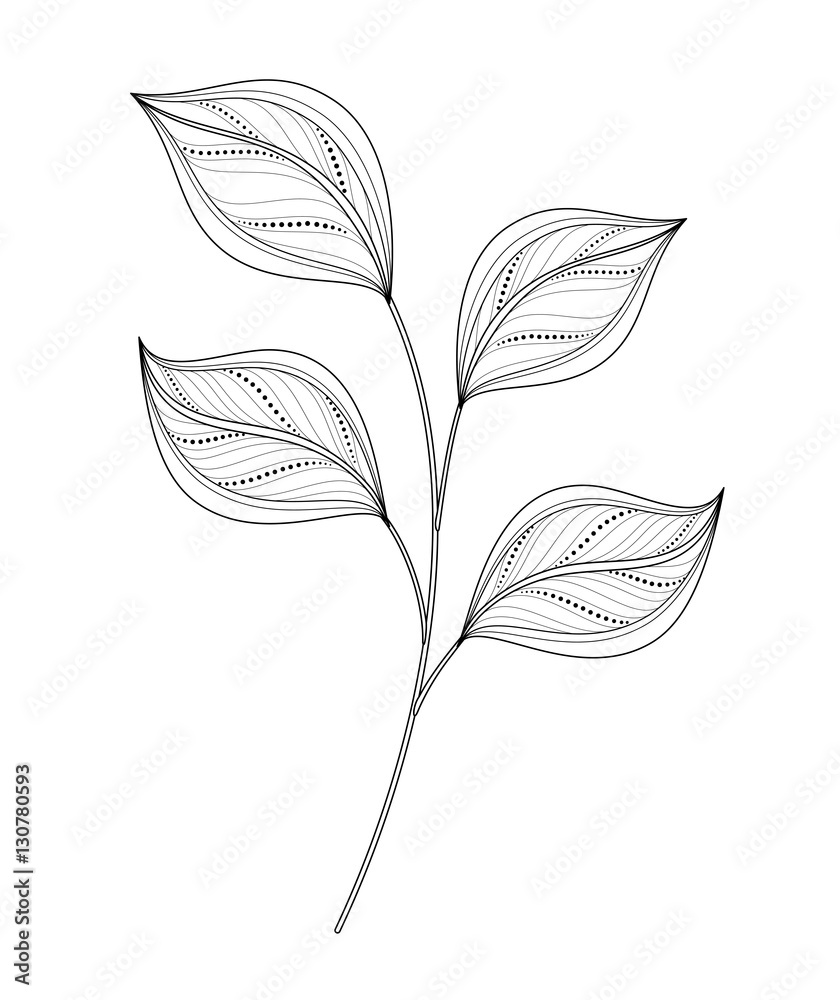 Vector Beautiful Monochrome Leaf Vector Beautiful Monochrome Leaf