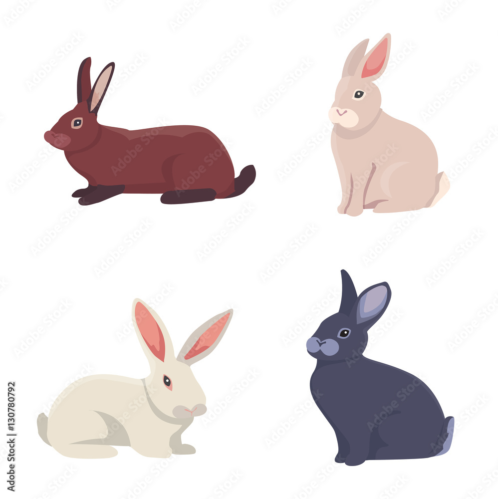 Fototapeta premium vector illustration of cartoon rabbits different breeds. Fine bunnys for veterinary design
