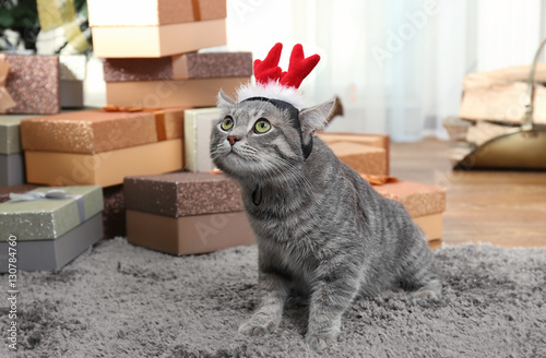 Cute cat with Christmas reindeer antlers on carpet at home