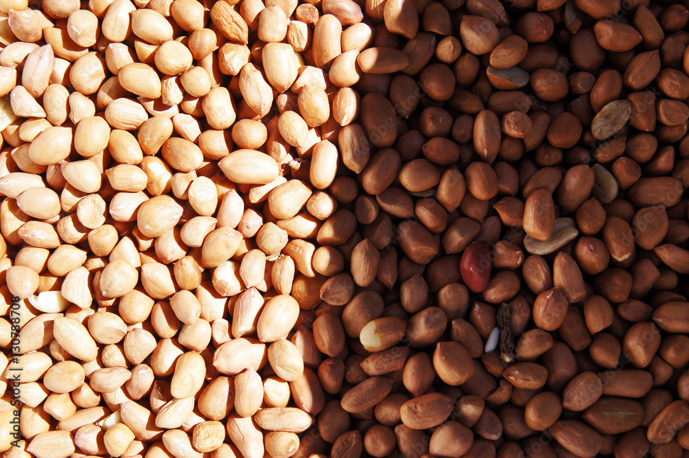 Brown Nuts Brown Nuts