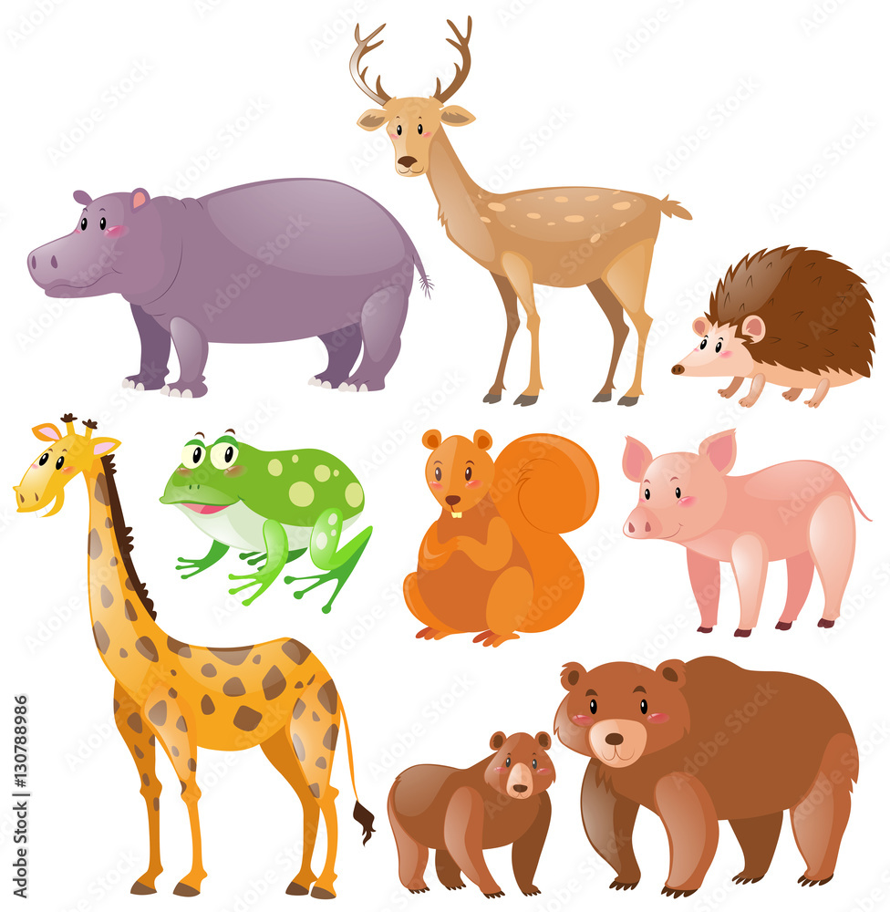 Different kinds of wild animals