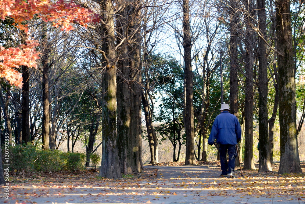 公園で散歩する老人