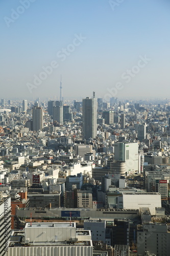 Tokyo, Japan cityscape with the Skytree © jungwhan