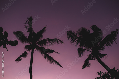 Silhouette of palms during the sunset, Indonesia, Bali