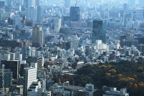 Canvas Print Japan cityscape view from Metropolitan Government Building in Shinjuku, Tokyo,