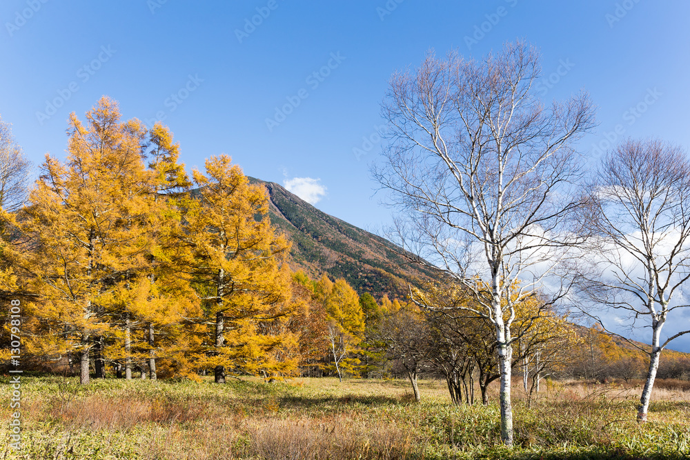 Fototapeta premium Mount Nantai in Nikko of Japan