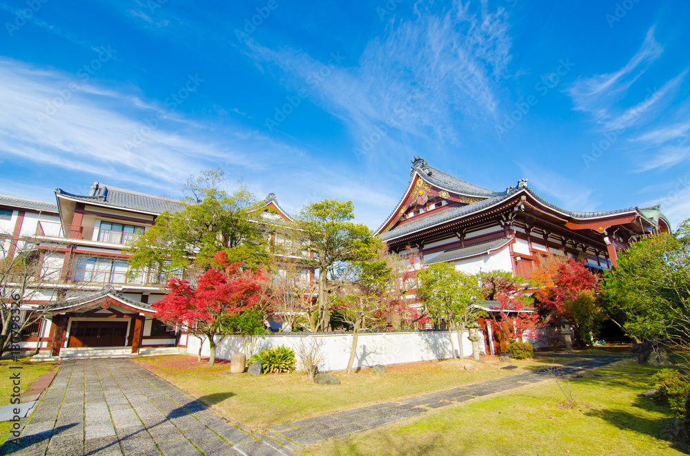 Naklejka premium Maple leaves in Autumn season.Japan
