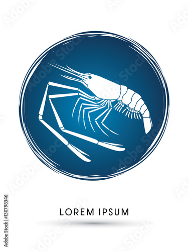 Giant freshwater prawn, shrimp graphic vector.