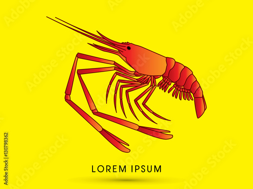 Giant freshwater prawn, shrimp graphic vector.