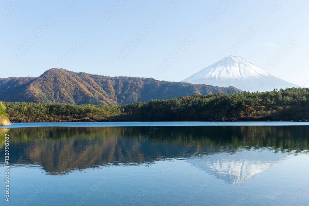 Saiko Lake and mountain Fuji