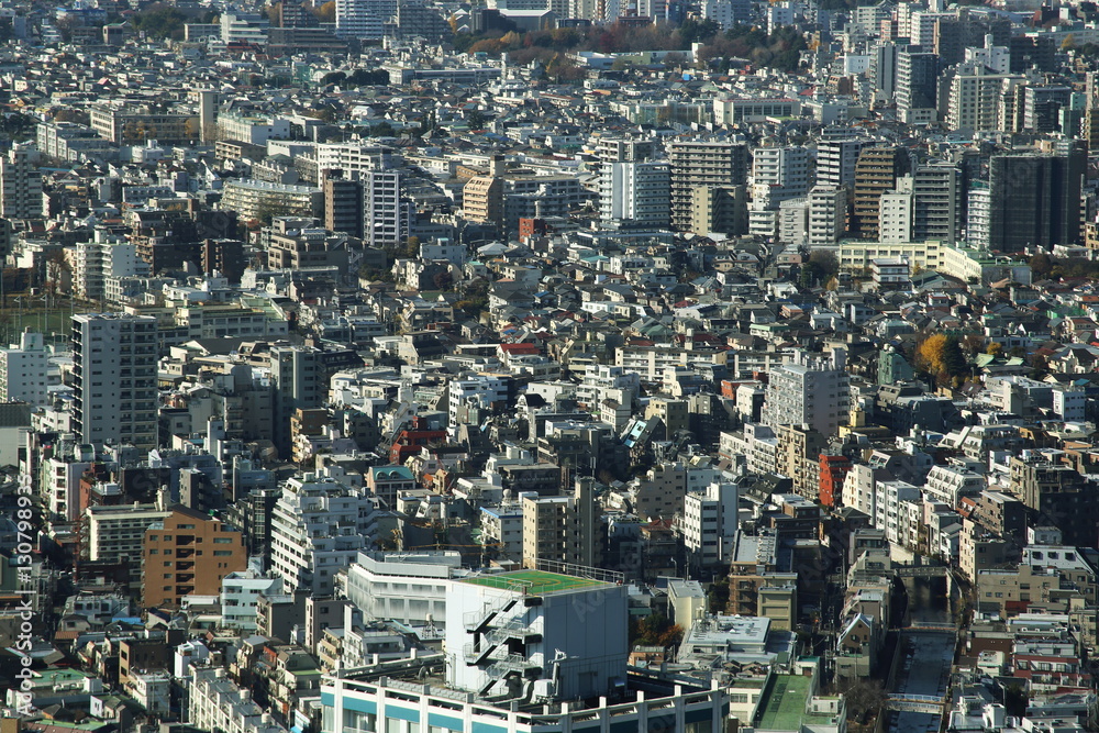 Fototapeta premium capital city of Japan view with Shinjuku districts