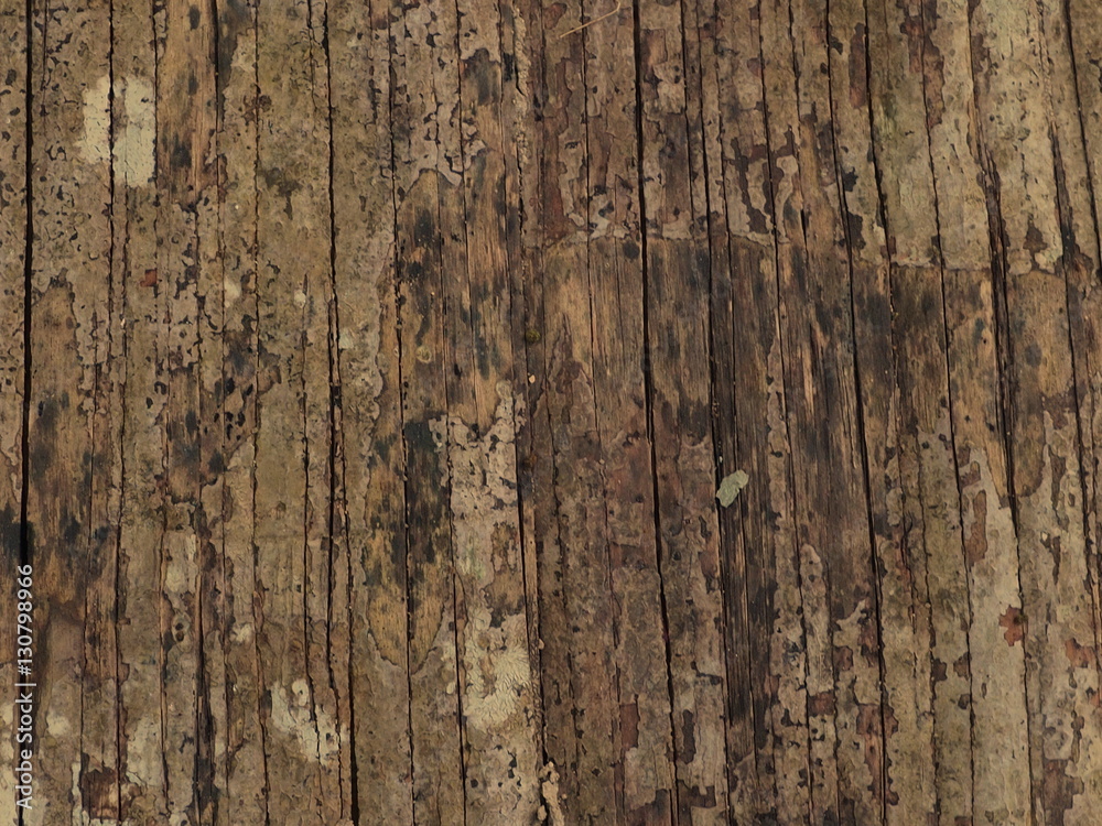 Old bamboo wood texture.