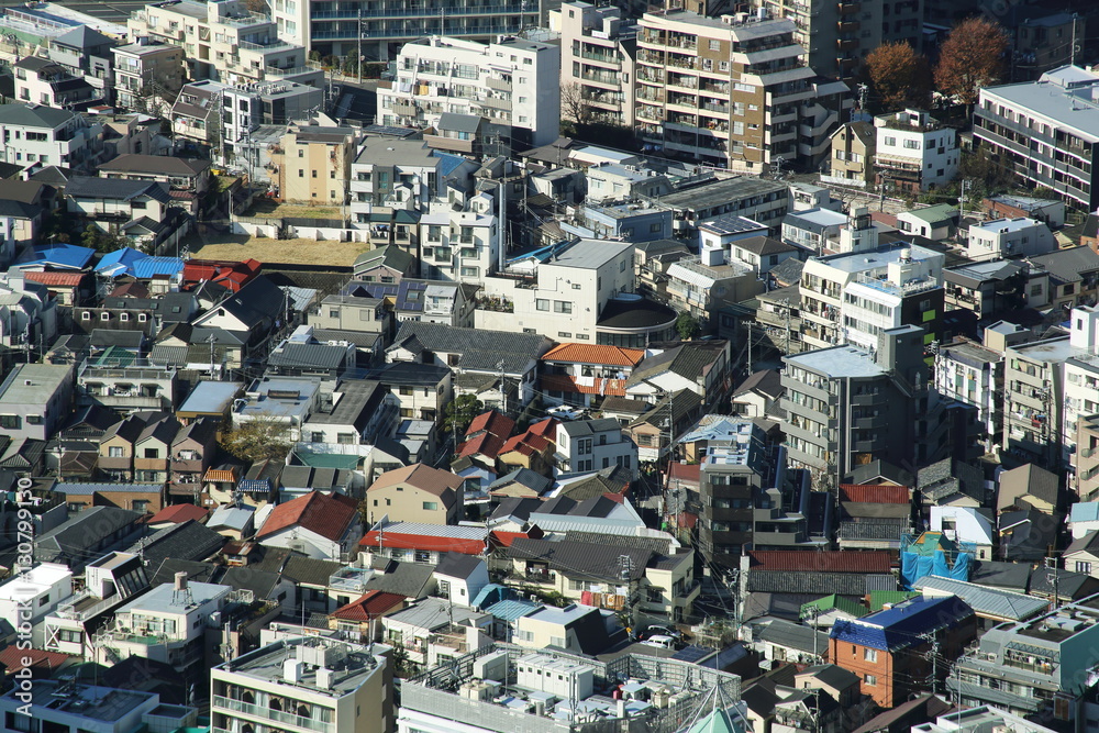 Fototapeta premium capital city of Japan view with Shinjuku districts
