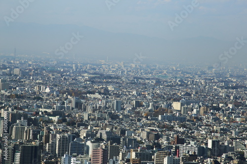 Fototapeta Naklejka Na Ścianę i Meble -  capital city of Japan view with Shinjuku districts