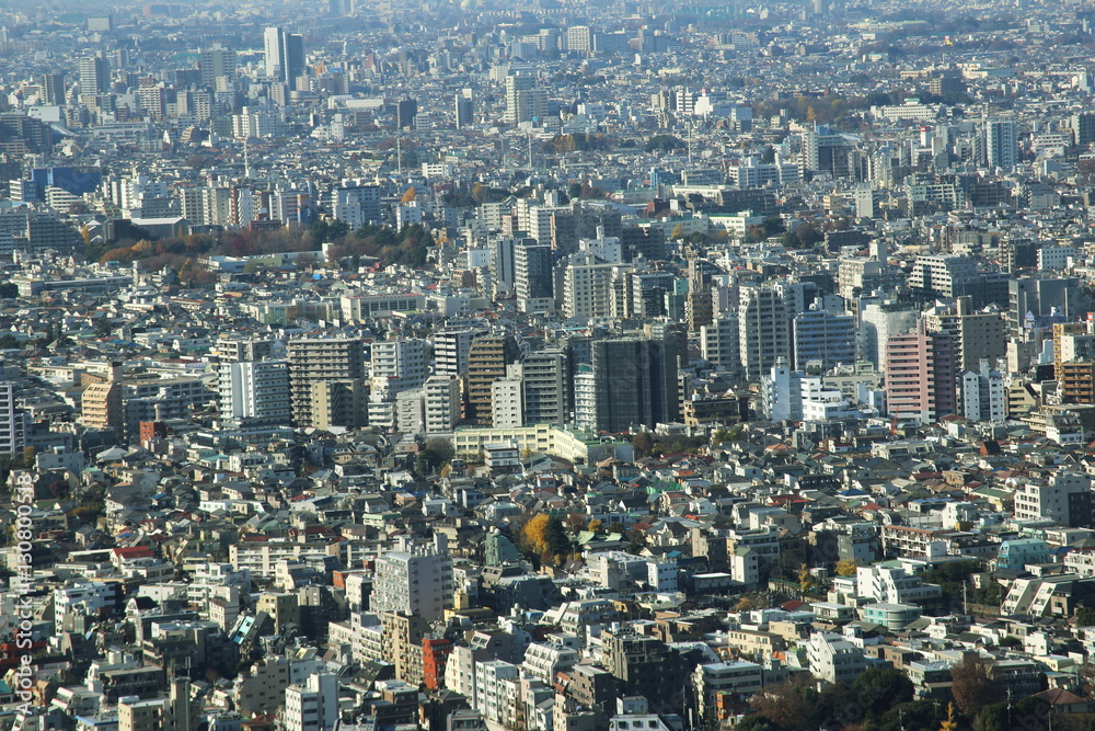 capital city of Japan view with Shinjuku districts capital city of Japan view with Shinjuku districts