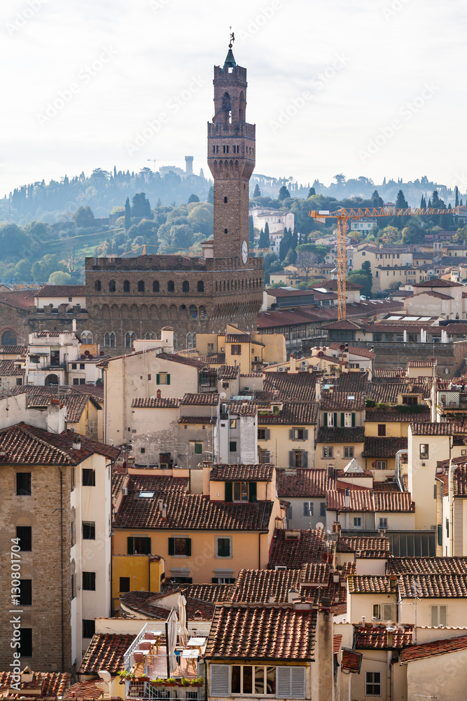 skyline withf Palazzo Vecchio in Florence