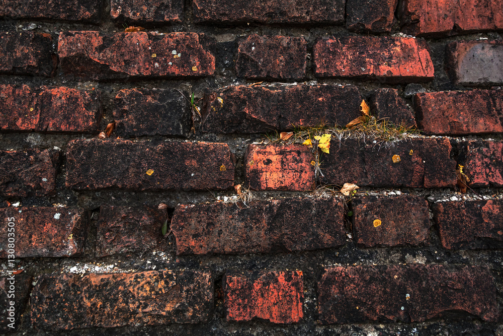 fragment of an old monastic wall from a red brick with leaves and a grass
