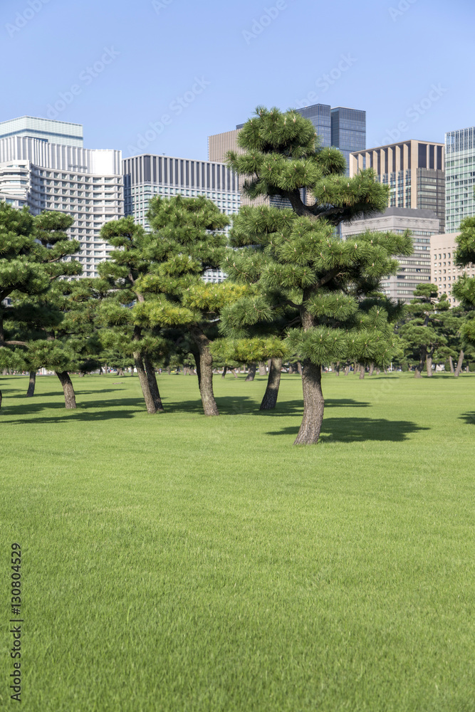 Beautiful green park garden with city view inTokyo, Japan Beautiful green park garden with city view inTokyo, Japan